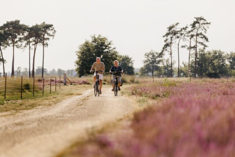 wandelen-en-fietsen-land-van-de-peel-rechtenvrij-strabrechtseheide-someren